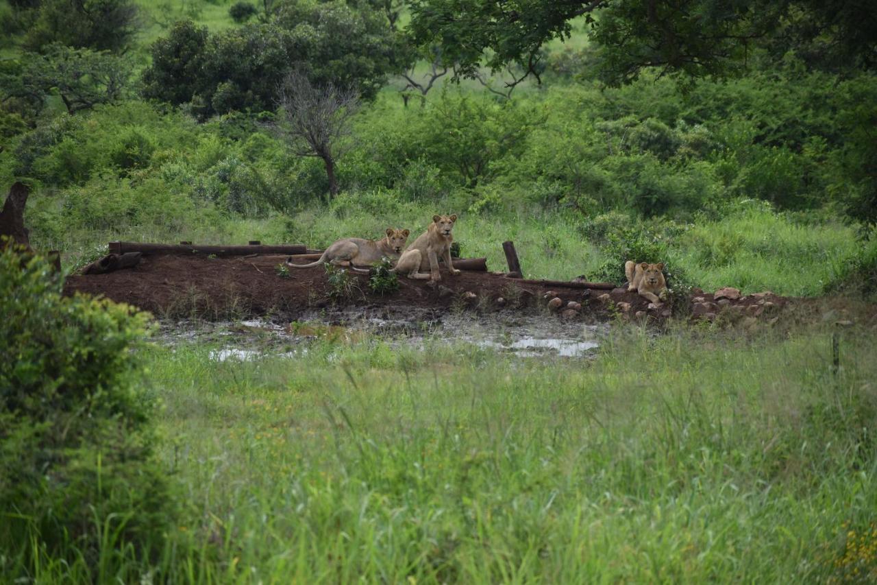 African Spirit Game Lodge Mkuze Exterior photo